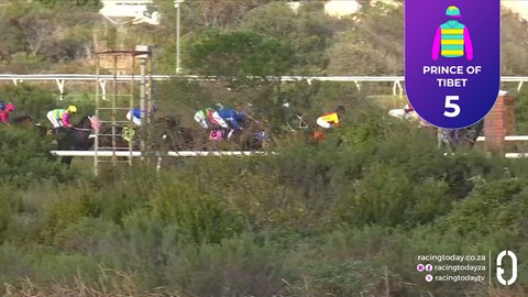 Hollywoodbets Kenilworth SA 19 May 2026 Race 7