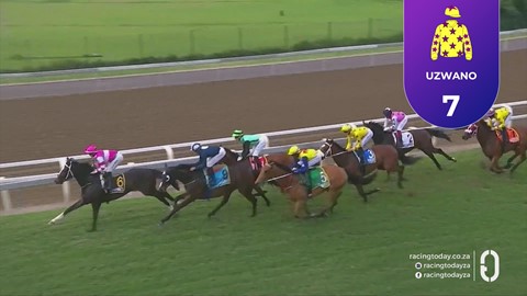Hollywoodbets Greyville SA 11 Oct 2026 Race 7