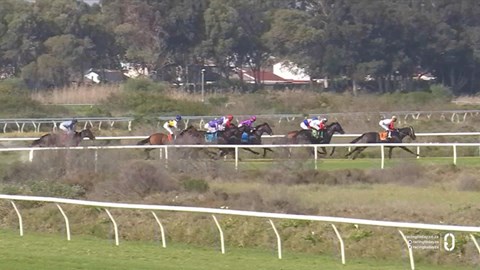 Hollywoodbets Kenilworth SA 29 Jul 2025 Race 1