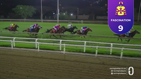 Hollywoodbets Greyville SA 02 Oct 2026 Race 7
