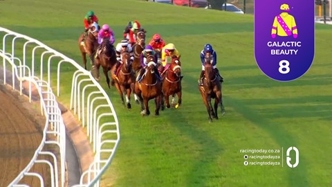 Hollywoodbets Greyville SA 28 Aug 2026 Race 2