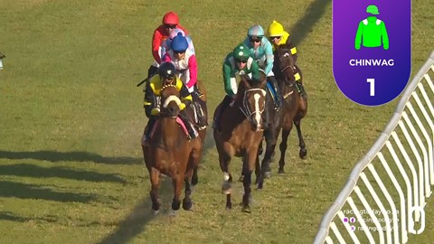 Hollywoodbets Durbanville SA 02 Sep 2026 Race 8