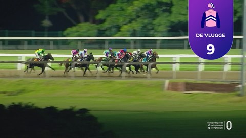 Hollywoodbets Greyville SA 17 Apr 2026 Race 8