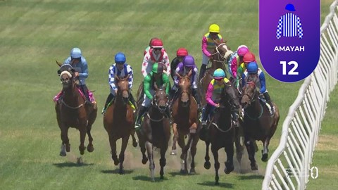 Hollywoodbets Durbanville SA 21 Jan 2026 Race 3