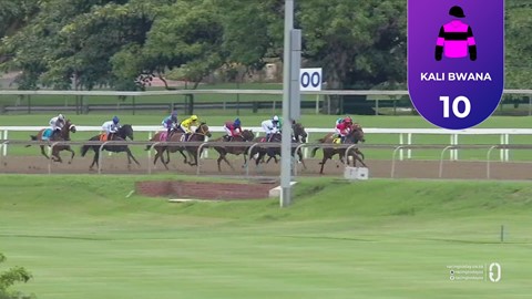 Hollywoodbets Greyville SA 27 Feb 2026 Race 1