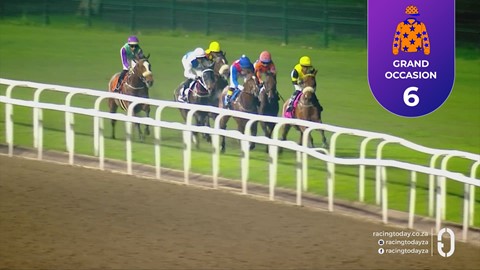 Hollywoodbets Greyville SA 25 Sep 2026 Race 6