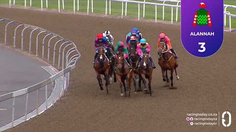 Hollywoodbets Greyville SA 12 Nov 2025 Race 6