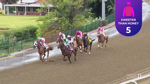 Hollywoodbets Greyville SA 16 Nov 2025 Race 4