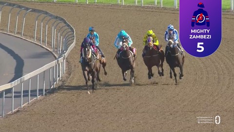 Hollywoodbets Greyville SA 08 Apr 2026 Race 6