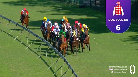 Hollywoodbets Greyville SA 20 Jun 2026 Race 4