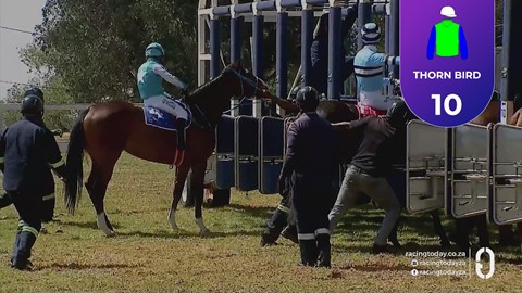 Turffontein SA 29 Aug 2026 Race 2