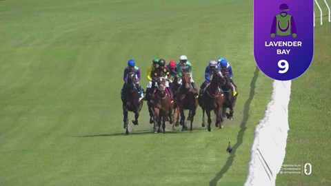 Hollywoodbets Kenilworth SA 15 Nov 2025 Race 6