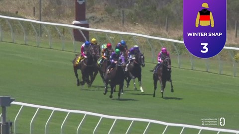 Hollywoodbets Kenilworth SA 15 Nov 2025 Race 2