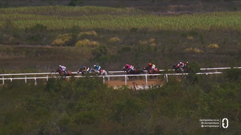 Fairview SA 23 Jan 2026 Race 1