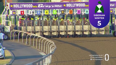 Hollywoodbets Greyville SA 10 Jun 2026 Race 7