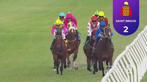 Hollywoodbets Kenilworth SA 29 Jul 2025 Race 7