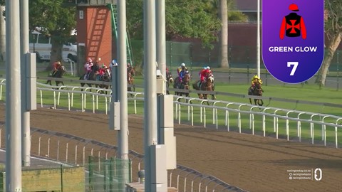 Hollywoodbets Greyville SA 31 Oct 2025 Race 3