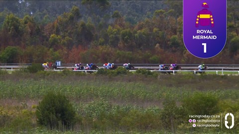 Fairview SA 28 Nov 2025 Race 2