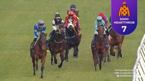 Hollywoodbets Durbanville SA 14 Jul 2026 Race 8
