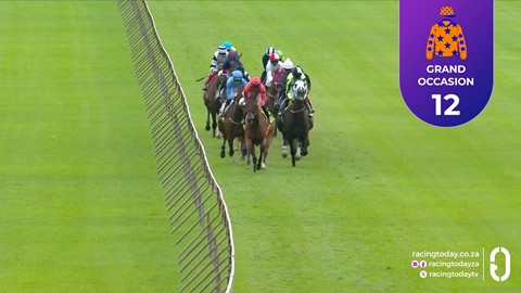 Hollywoodbets Scottsville SA 15 Feb 2026 Race 6