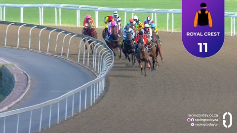 Hollywoodbets Greyville SA 20 May 2026 Race 1