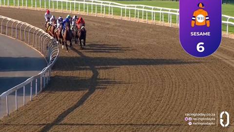 Hollywoodbets Greyville SA 15 Jul 2026 Race 4