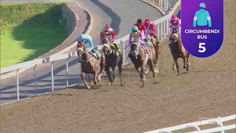 Hollywoodbets Greyville SA 08 Apr 2026 Race 7