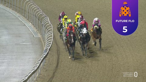 Hollywoodbets Greyville SA 06 Feb 2026 Race 6