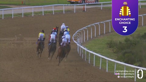 Fairview SA 14 Aug 2026 Race 7