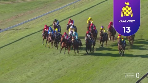 Hollywoodbets Scottsville SA 26 Apr 2026 Race 8