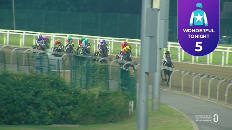 Hollywoodbets Greyville SA 17 Apr 2026 Race 3