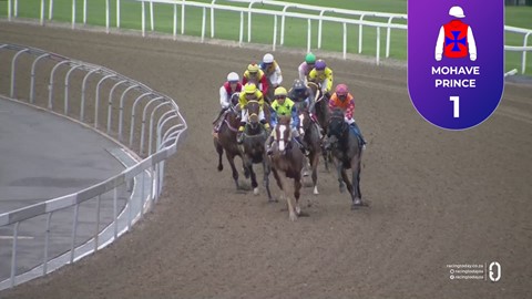 Hollywoodbets Greyville SA 27 Feb 2026 Race 4