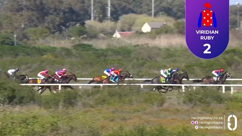 Hollywoodbets Kenilworth SA 12 Aug 2026 Race 1