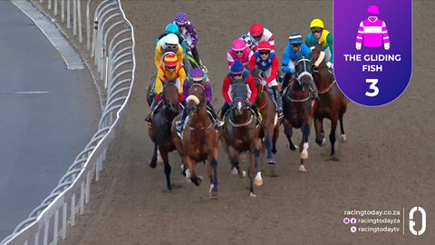 Hollywoodbets Greyville SA 20 May 2026 Race 8