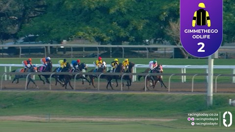 Hollywoodbets Greyville SA 16 Jul 2025 Race 8