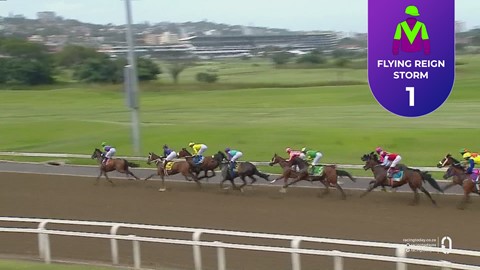 Hollywoodbets Greyville SA 31 Dec 2025 Race 6