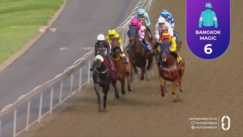 Hollywoodbets Greyville SA 20 Sep 2026 Race 5