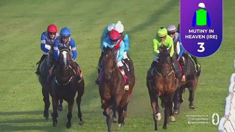Hollywoodbets Kenilworth SA 24 May 2026 Race 8