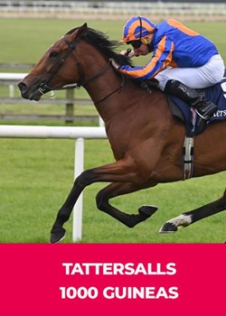 The Tattersalls 1000 Guineas