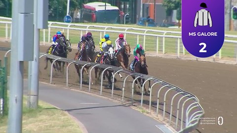 Hollywoodbets Greyville SA 28 Jan 2026 Race 3