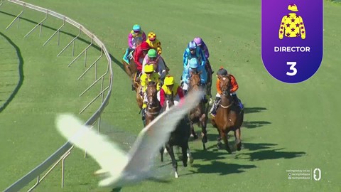 Hollywoodbets Greyville SA 02 May 2026 Race 4