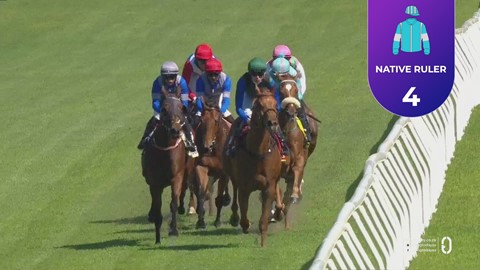 Hollywoodbets Kenilworth SA 02 Nov 2025 Race 5