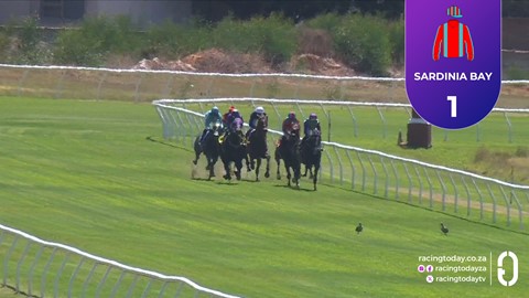 Hollywoodbets Durbanville SA 04 Mar 2026 Race 2