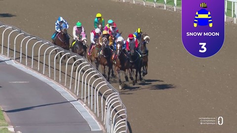 Hollywoodbets Greyville SA 02 May 2026 Race 2