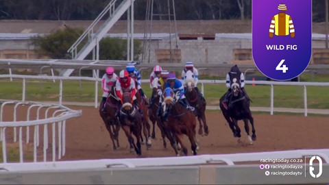 Fairview SA 07 Aug 2026 Race 4