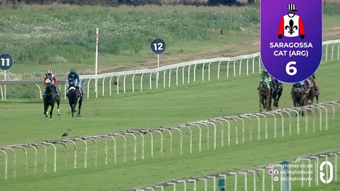 Vaal SA 11 Nov 2025 Race 6