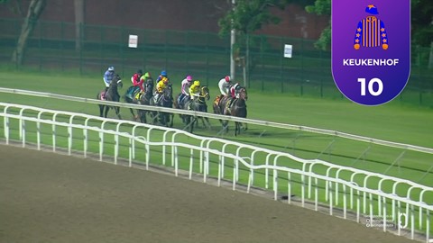 Hollywoodbets Greyville SA 27 Mar 2026 Race 6