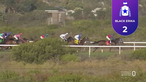 Hollywoodbets Kenilworth SA 16 May 2026 Race 8