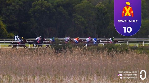 Fairview SA 07 Aug 2026 Race 2