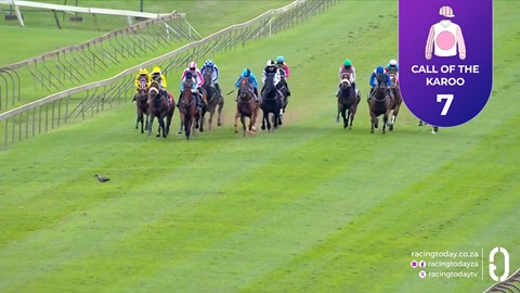 Hollywoodbets Scottsville SA 15 Mar 2026 Race 10